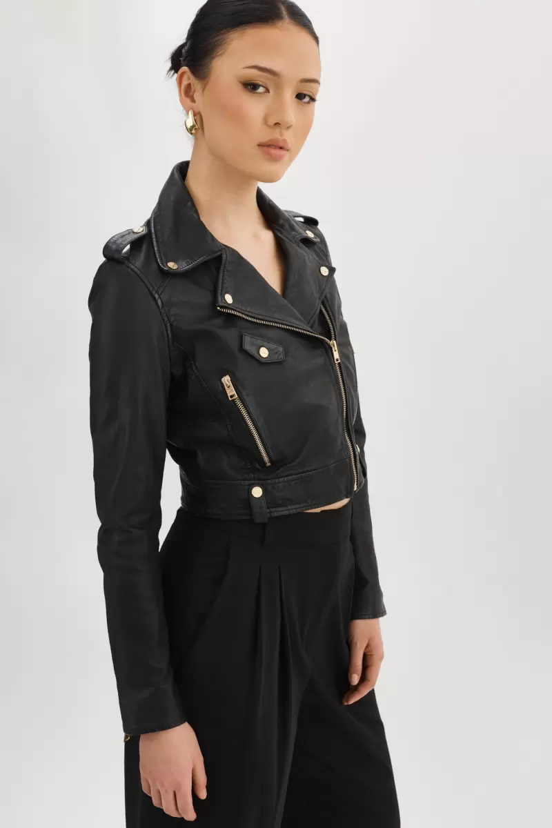 Ciara Gold | Leather  Crop Biker Jacket Women Leather Jackets Black Quality Lamarque - 2