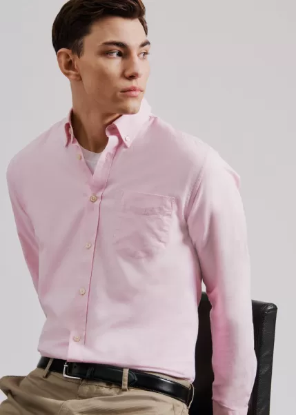 Light Pink Shirts Signature Organic Oxford Shirt - Light Pink Ben Sherman Men Discount